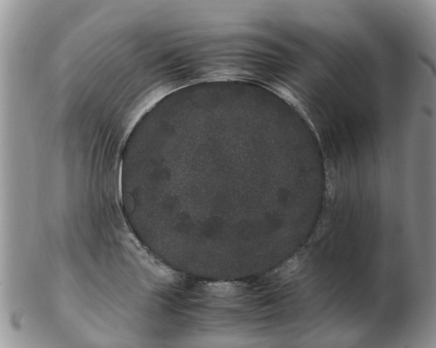 X0000103271227200809122128