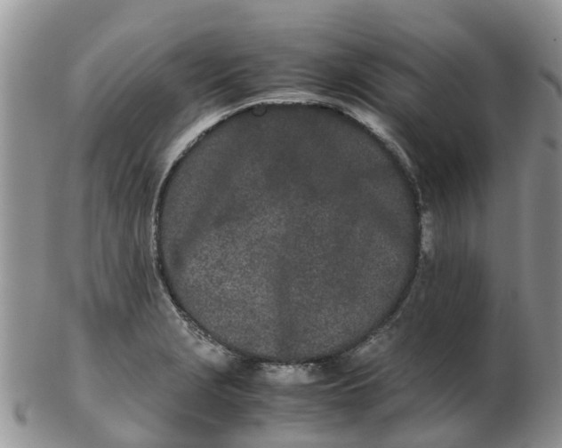 X0000103271229200809122128