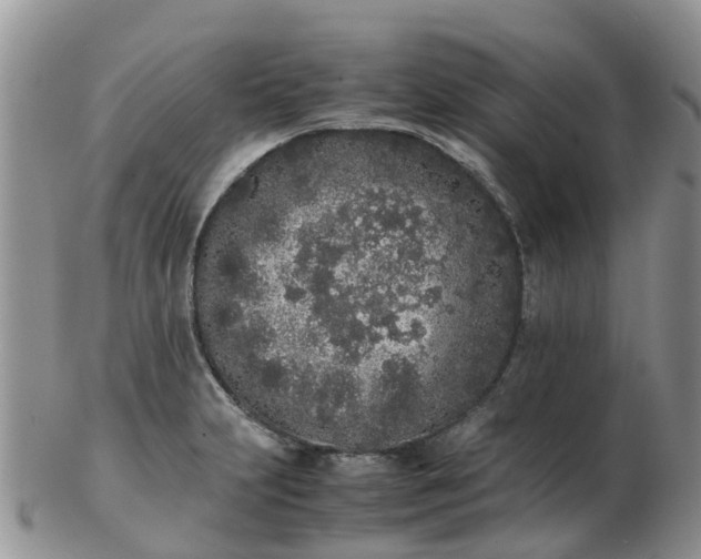 X0000103271231200809122128