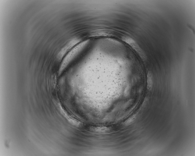 X0000103271233200809122128