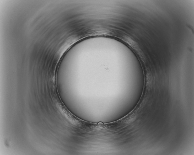 X0000103271234200809122128