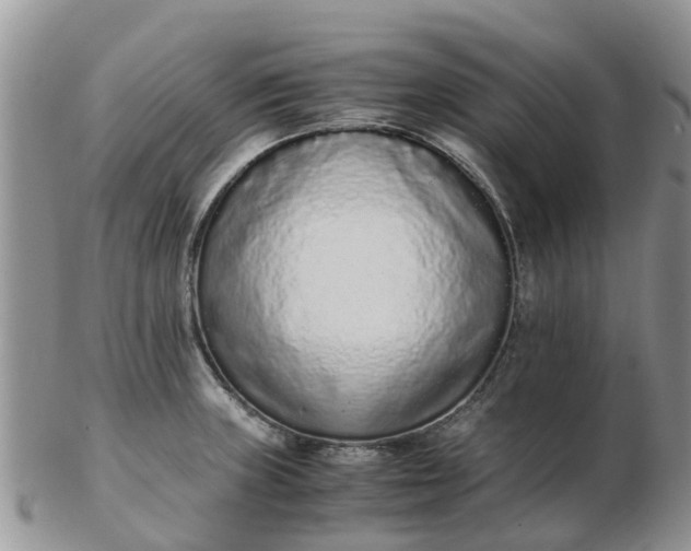 X0000103271235200809122128