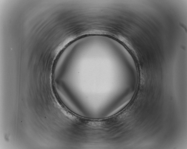 X0000103271237200809122128