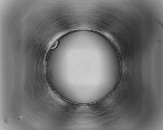 X0000103271238200809122128