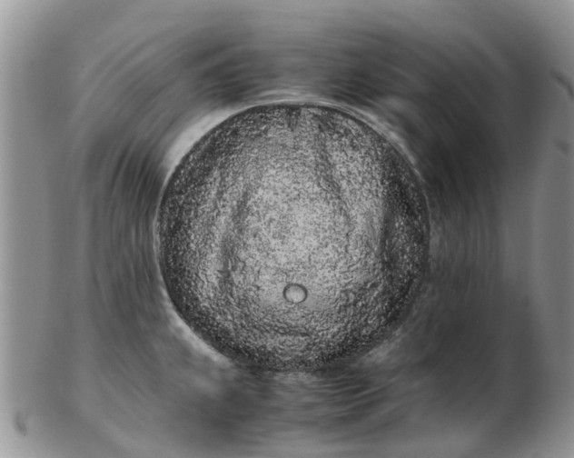 X0000103271239200809122128