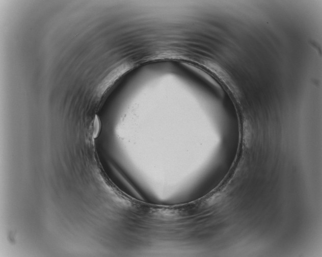 X0000103271241200809122128