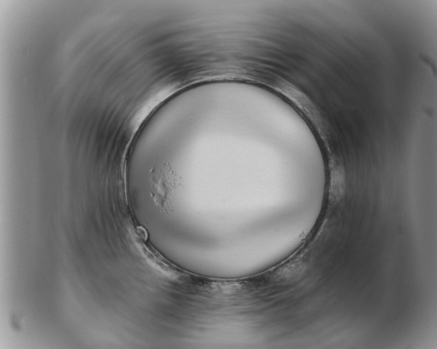 X0000103271242200809122128