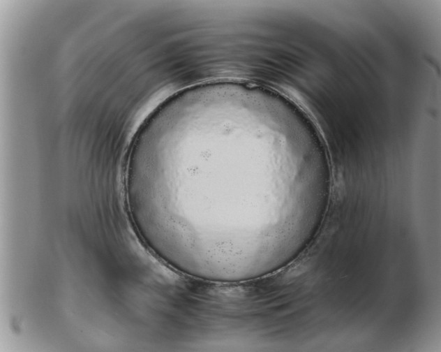 X0000103271243200809122128