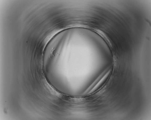 X0000103271244200809122128