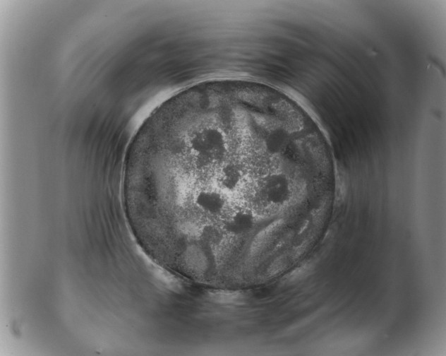 X0000103271245200809122128
