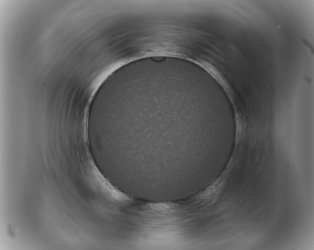 X0000103271246200809122129