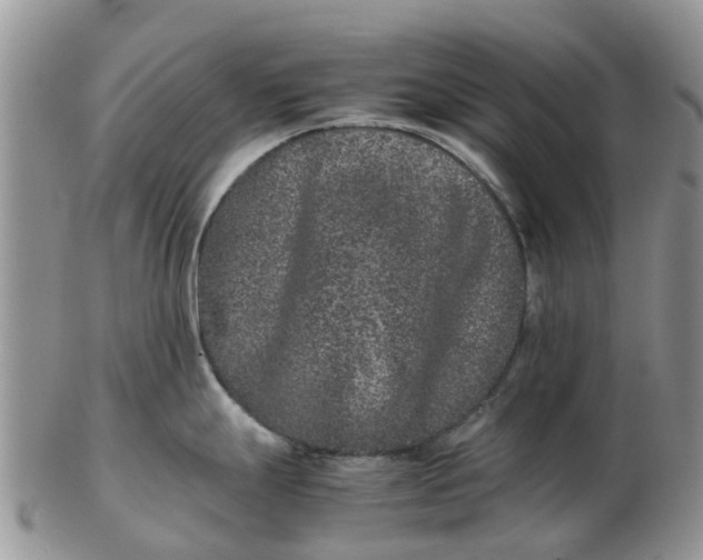 X0000103271247200809122129