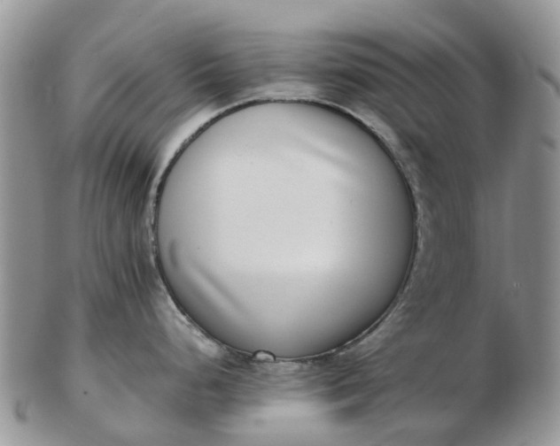 X0000103271248200809122129
