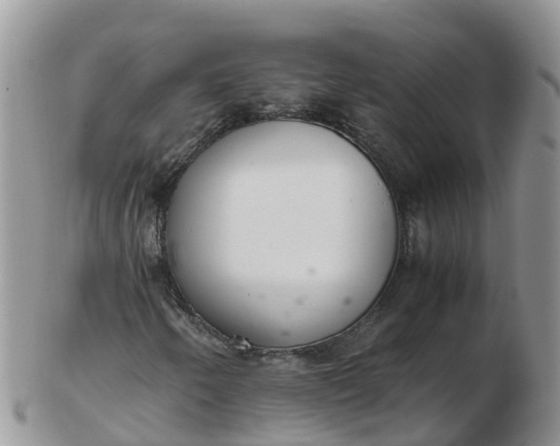 X0000103271250200809122128