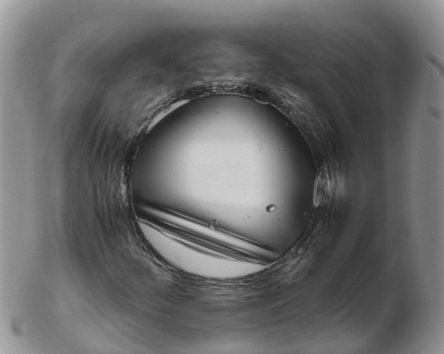 X0000103271252200809122128