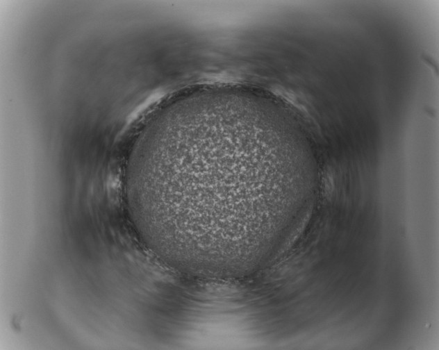 X0000103271254200809122128