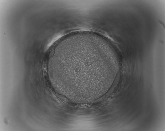 X0000103271255200809122128
