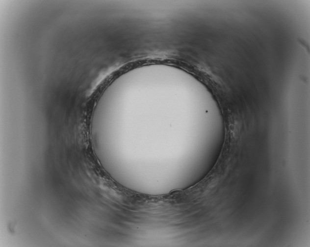 X0000103271256200809122128