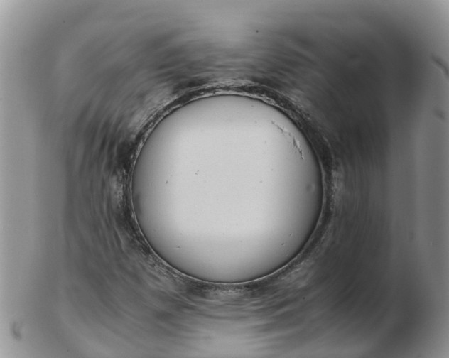 X0000103271257200809122128