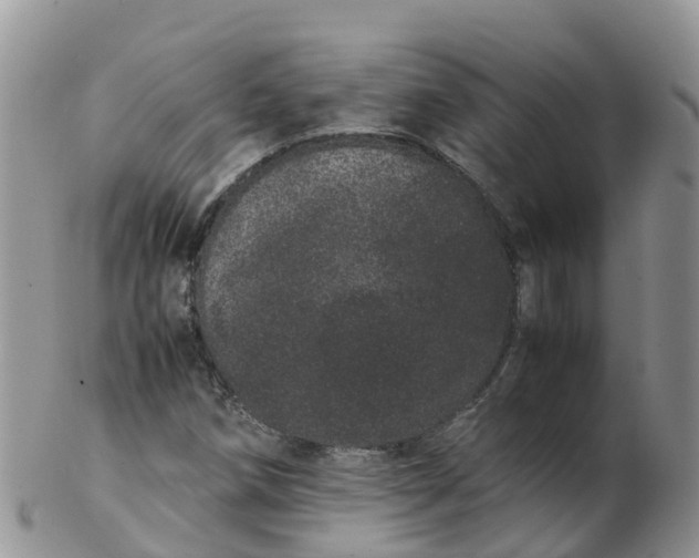 X0000103271258200809122128