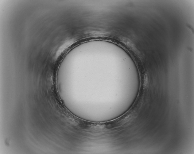 X0000103271261200809122128