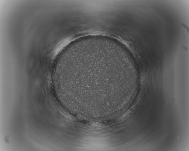 X0000103271263200809122128