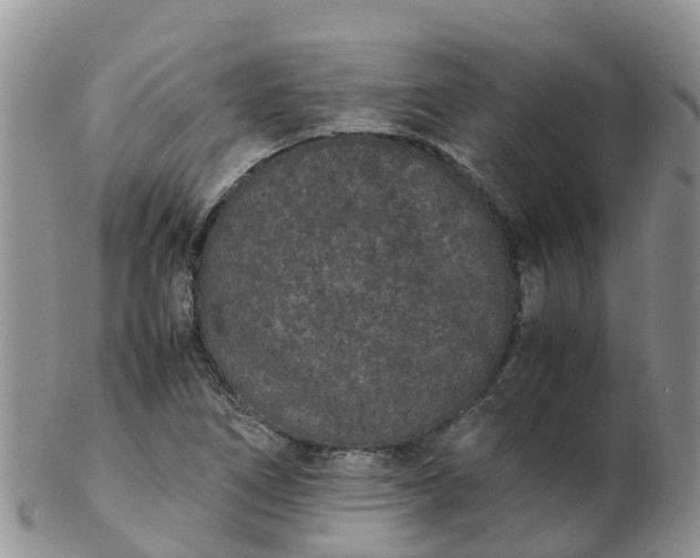 X0000103271266200809122128