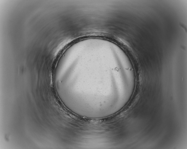 X0000103271267200809122128