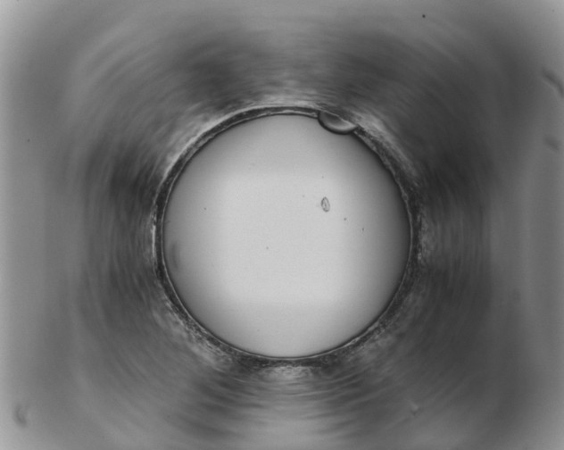 X0000103271268200809122128
