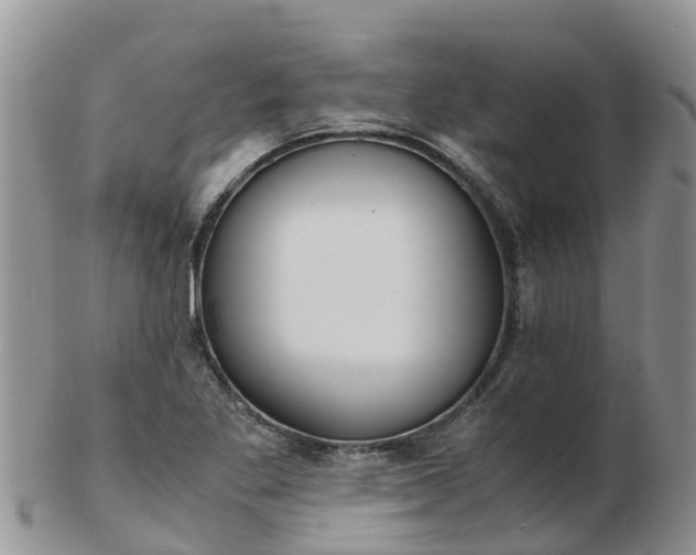 X0000103271269200809122128