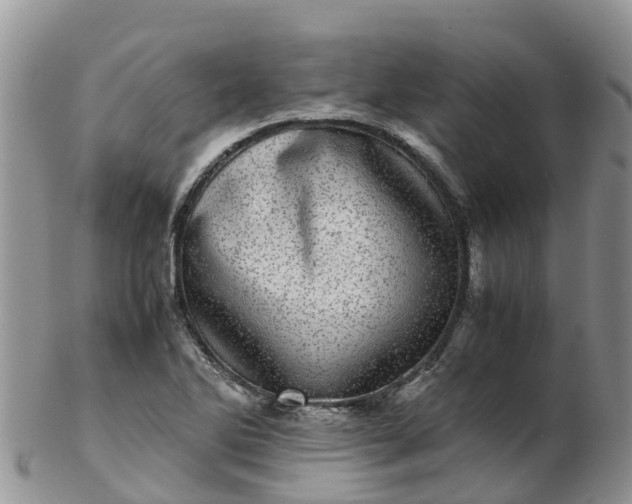 X0000103271270200809122128