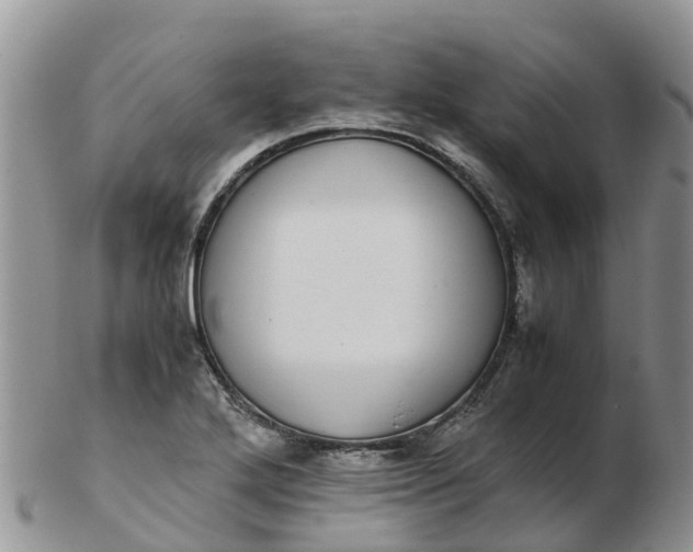 X0000103271272200809122128