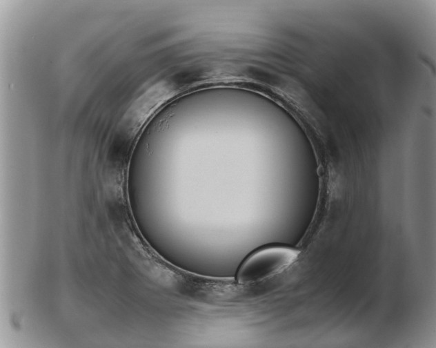 X0000103271273200809122128