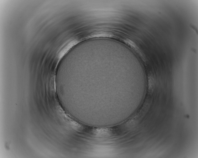 X0000103271274200809122128