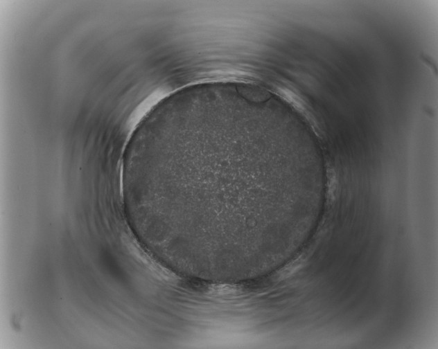 X0000103271275200809122128
