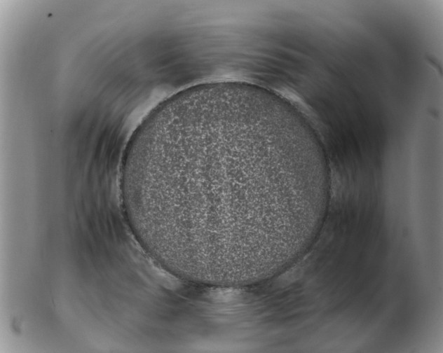 X0000103271278200809122127
