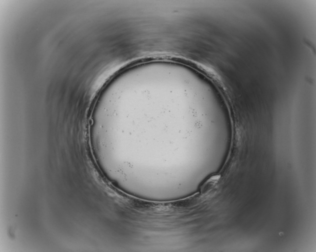 X0000103271279200809122127