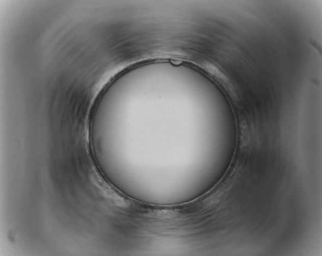 X0000103271280200809122127