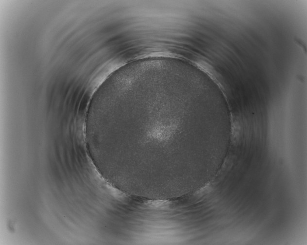 X0000103271282200809122127