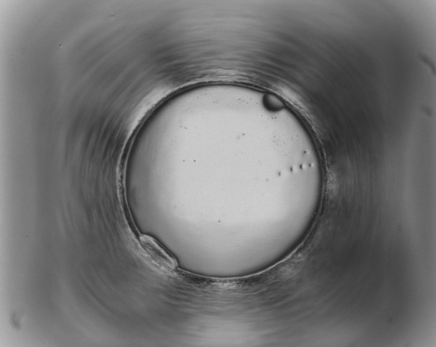 X0000103271283200809122127