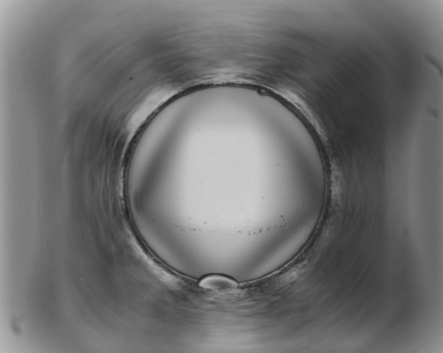 X0000103271285200809122127
