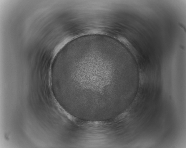 X0000103271286200809122127