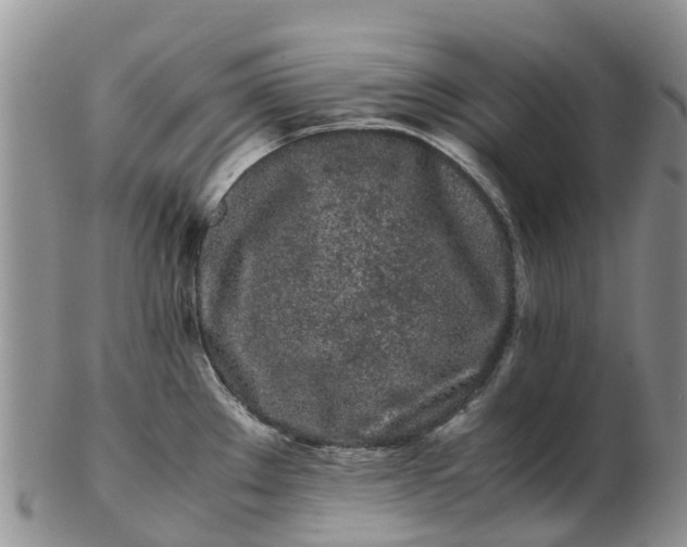 X0000103271289200809122127