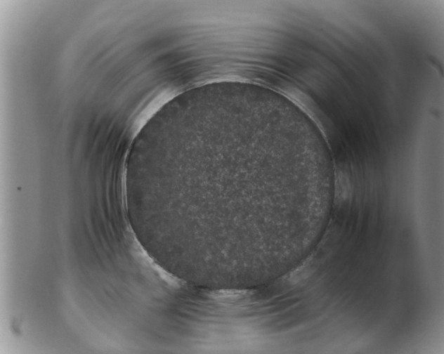 X0000103271290200809122127