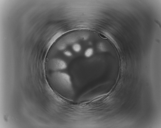 X0000103271291200809122127