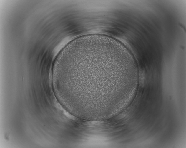X0000103271294200809122127