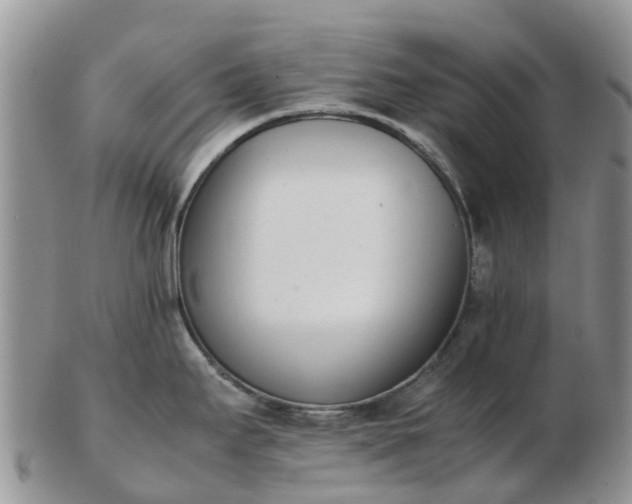 X0000103271295200809122127