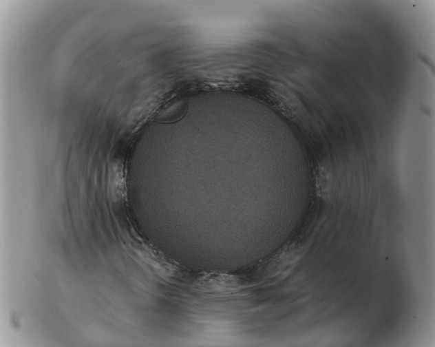 X0000103271298200809122127