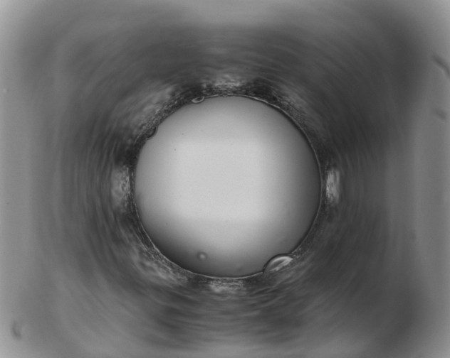 X0000103271299200809122127