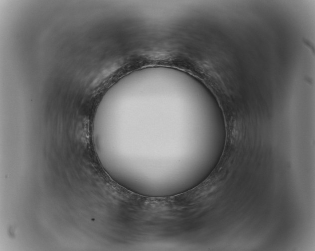 X0000103271301200809122127